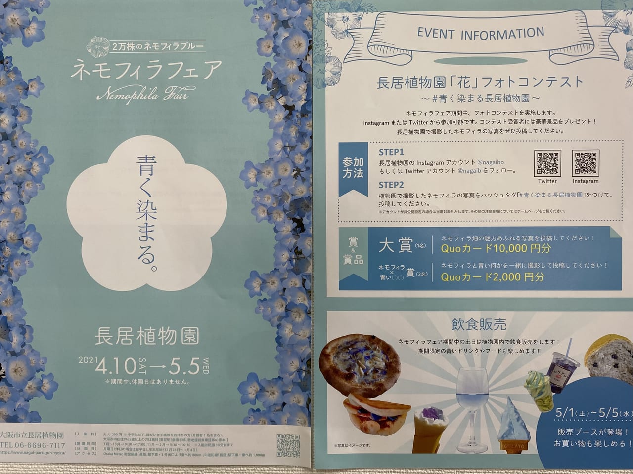 大阪市東住吉区 ネモフィラの花をみたことが ありますか ４月１日から 大阪市立長居植物園 が正門から入園できるようになりました 号外net 住吉区 東住吉区