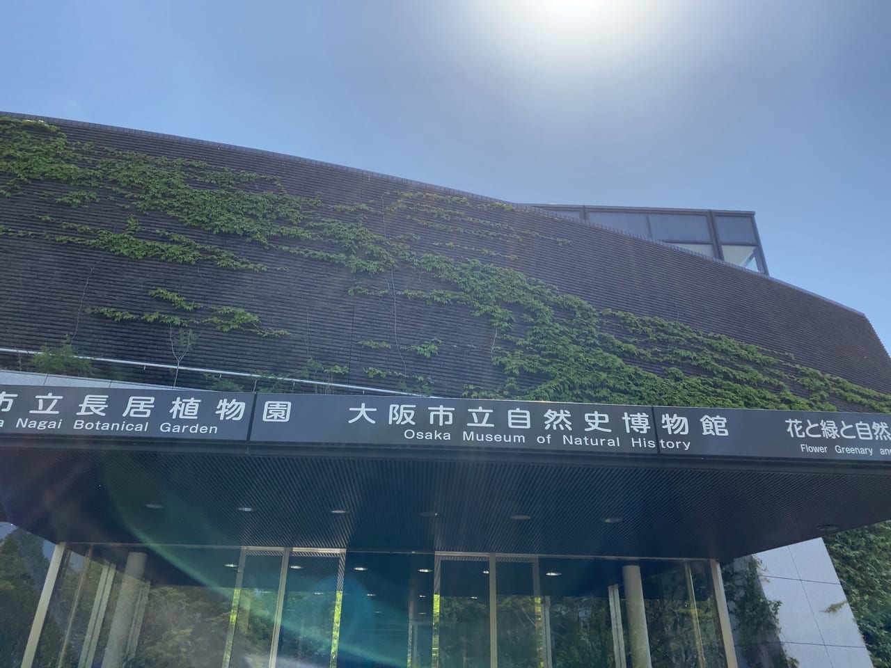 長居植物園、大阪市立自然史博物館