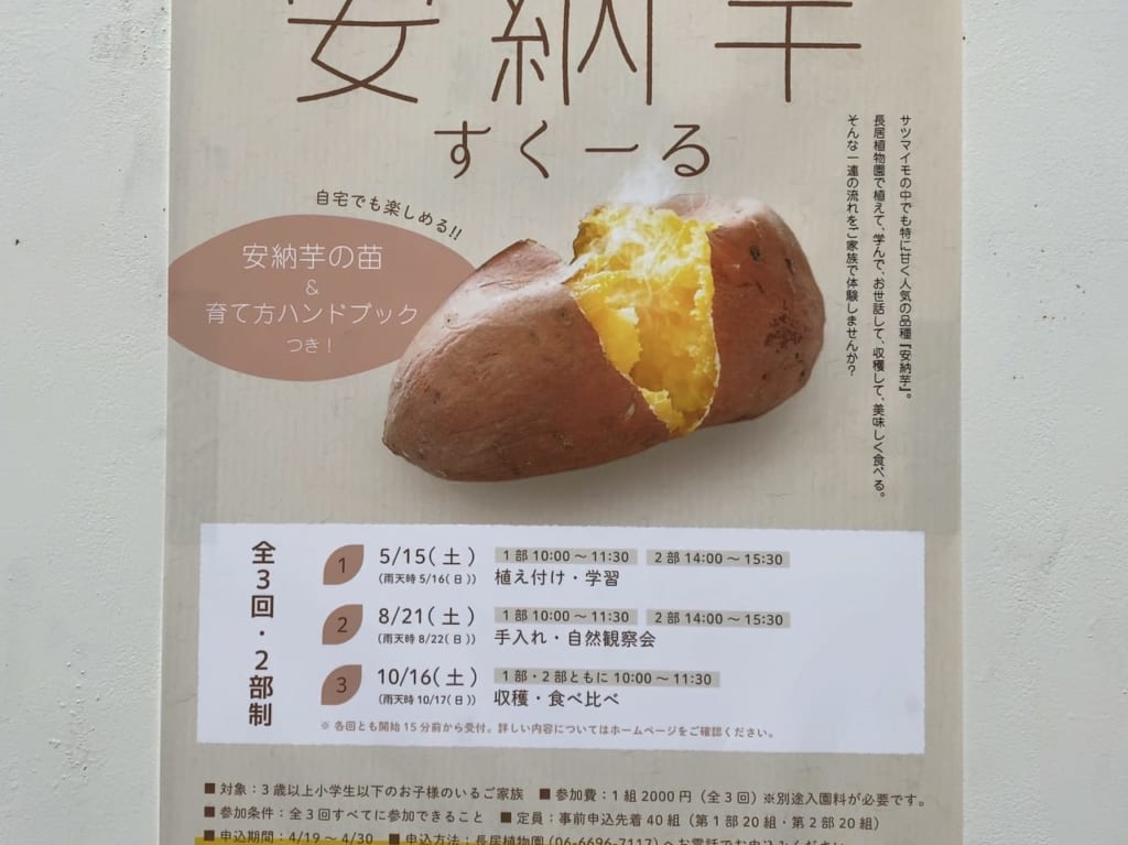 安納芋