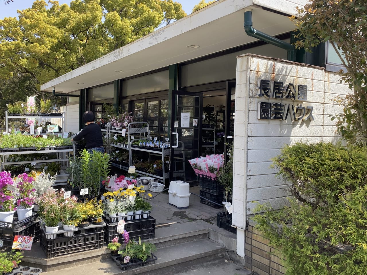 大阪市東住吉区 大阪市立長居公園の植物園入口横にあった 長居公園園芸売店 ２０２１年１０月３１日で閉店していました 号外net 住吉区 東住吉区