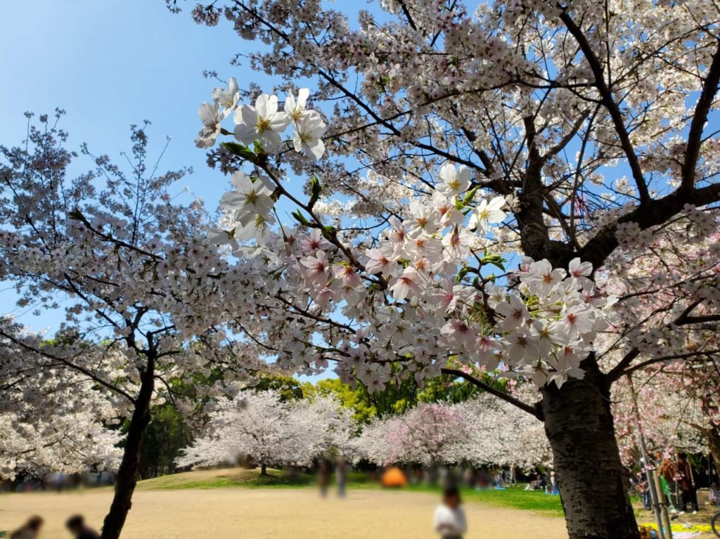 広場3