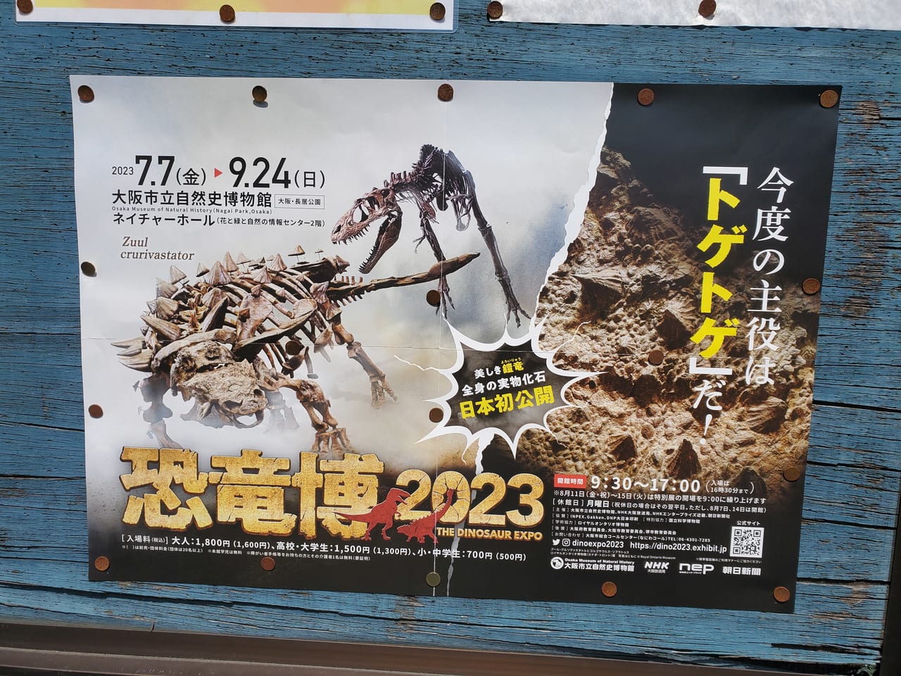 恐竜博2023 大阪市立自然史博物館　チケット
