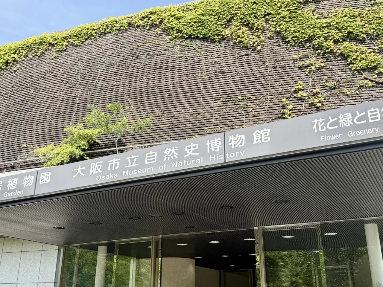 ミニ展示