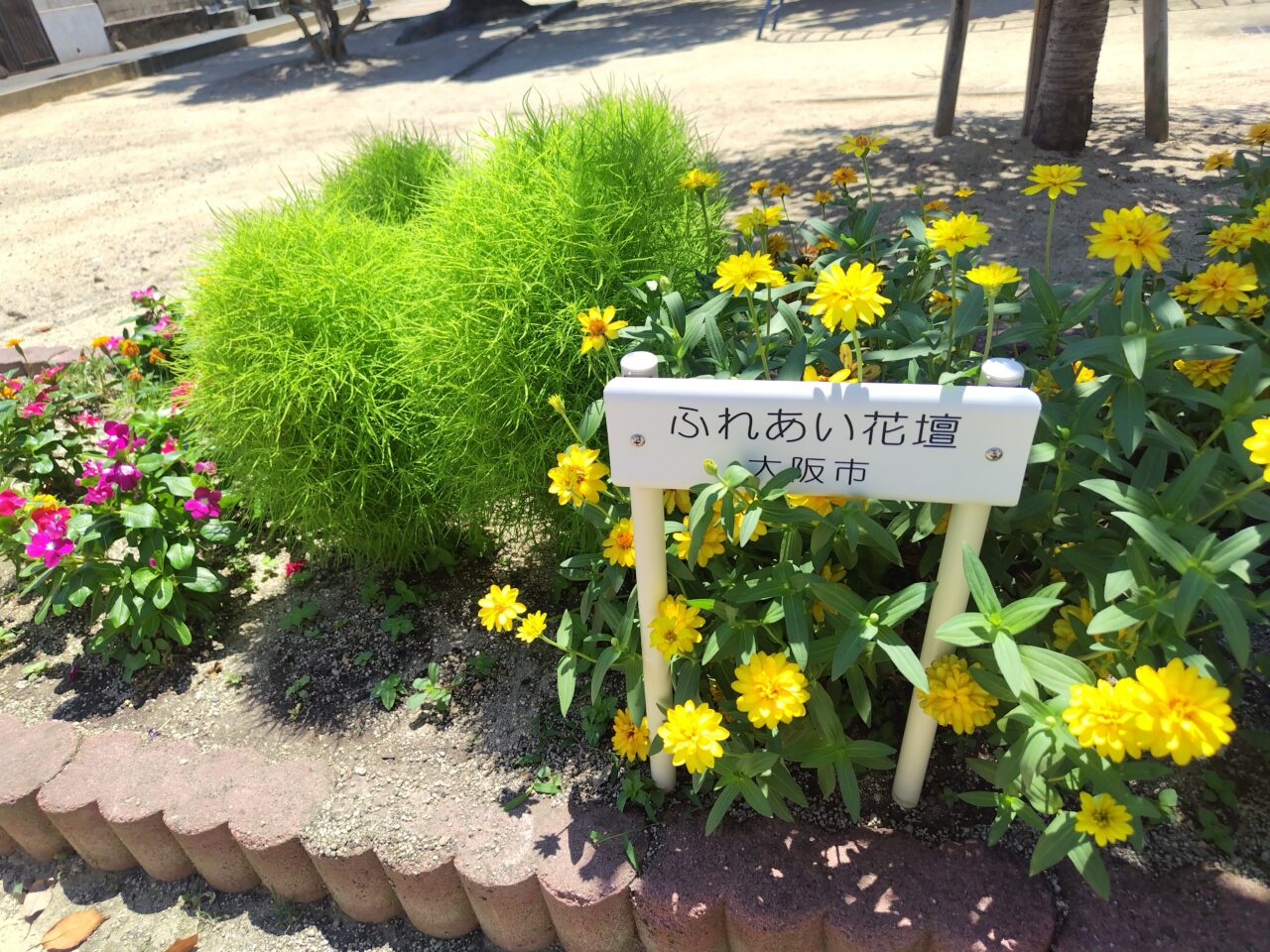 花壇