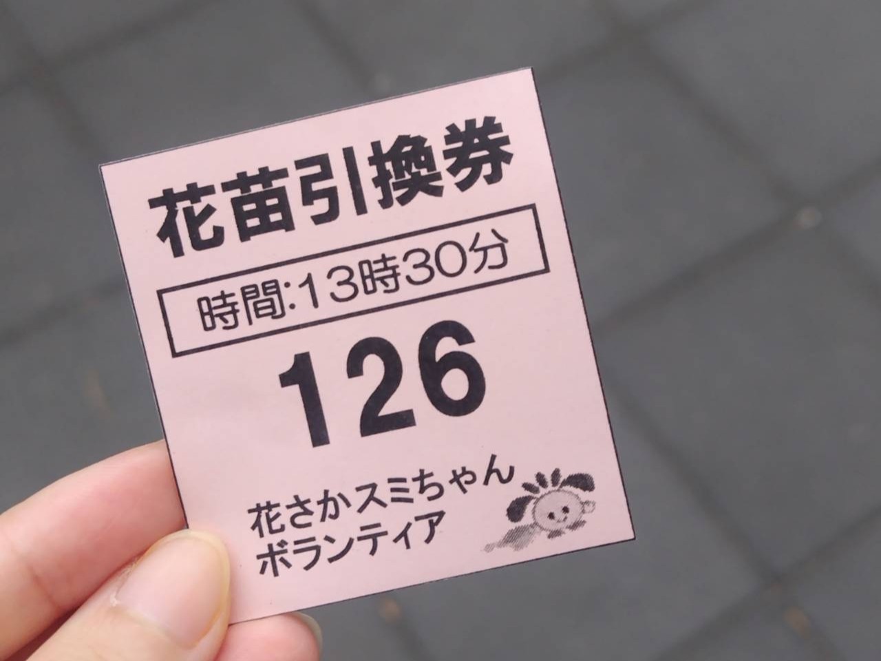 花苗